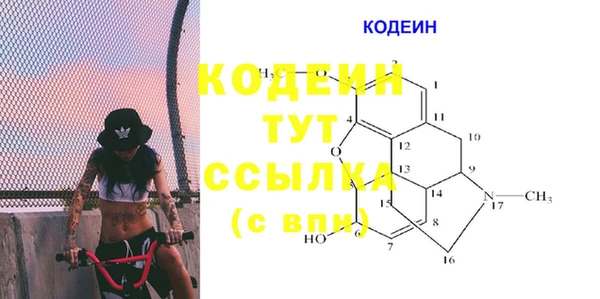 прущие грибы Алексеевка