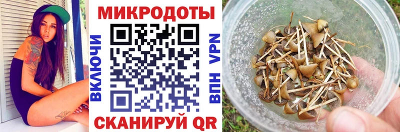 Галлюциногенные грибы Psilocybine cubensis Усмань
